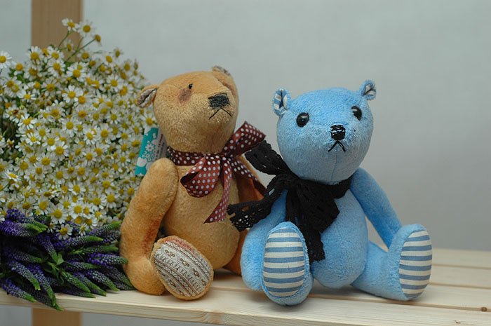 DSC_8119 (700x465, 101Kb)