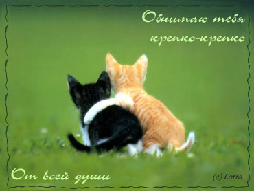 http://img1.liveinternet.ru/images/attach/c/4/82/584/82584535__1711.jpg