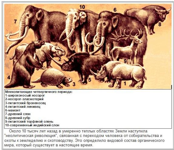 Картинки четвертичный период