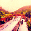 tumblr_lq91hmd5vn1r201s8o1_500 (100x100, 44Kb)