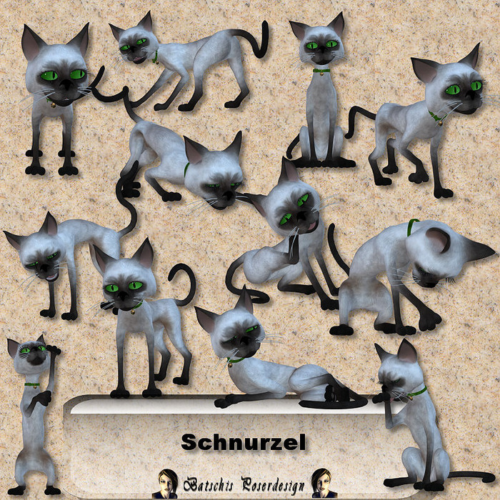 schnurzel-preview (700x700, 310Kb)