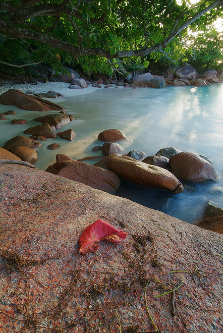 Seychelles_by_ChristopheCarlier (442x660, 241Kb)