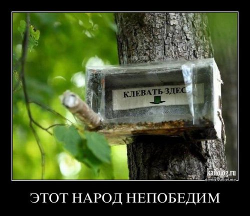 securedownload (11) (500x433, 44Kb)