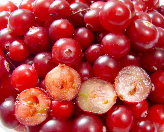 cranberries (700x564, 61Kb)