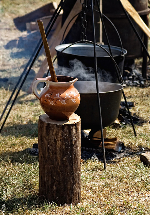 festival_lekvaru_21 (490x700, 501Kb)