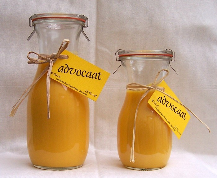 advocaat (700x575, 87Kb)