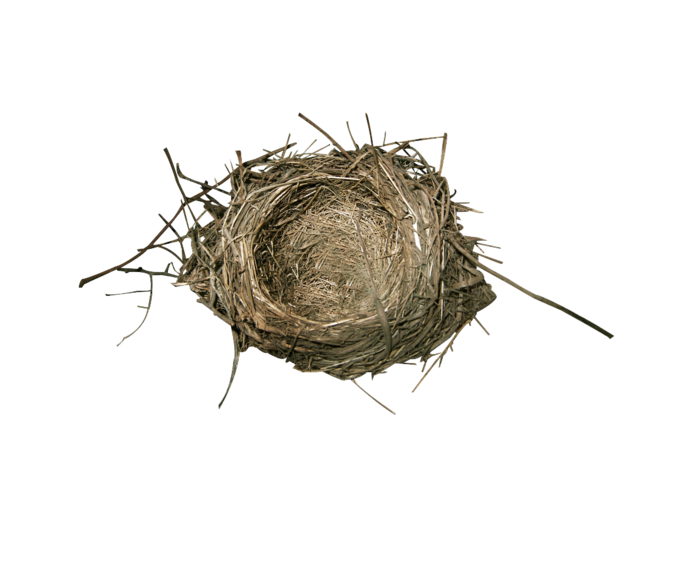 ou_The bird's small house_element_7 (700x564, 200Kb)