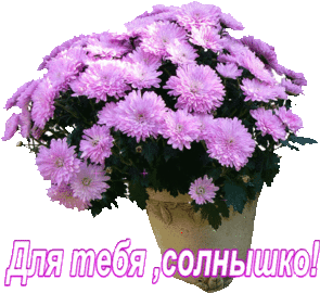 82363820_dlya_tebya_solnuyshko (295x270, 138Kb)