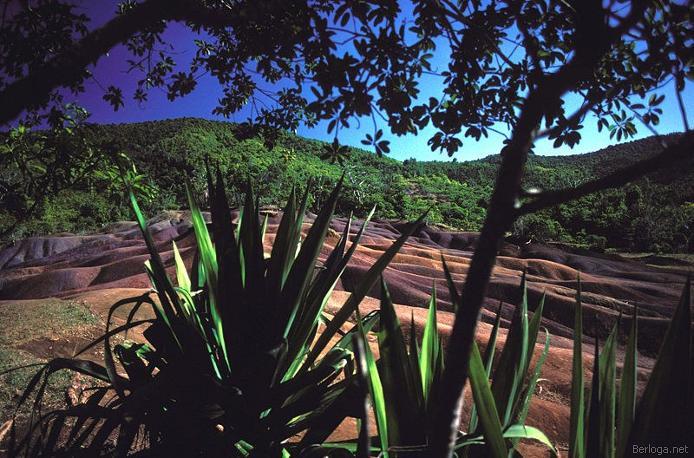 berloga.net_2125655417 (694x458, 79Kb)