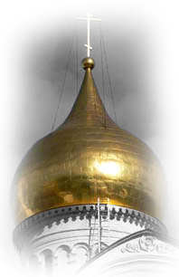 3463295_kupol (198x306, 89Kb)