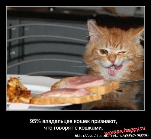 1299610556_1239092375_interesnoe_o_koshkakh_56_foto_25[1] (500x460, 105Kb)