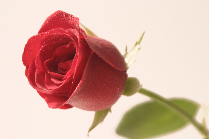 5f4e72741864 (700x466, 187Kb)