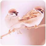 fl_002 (150x150, 31Kb)