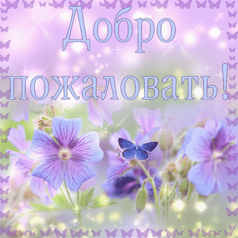    (480x480, 173Kb)