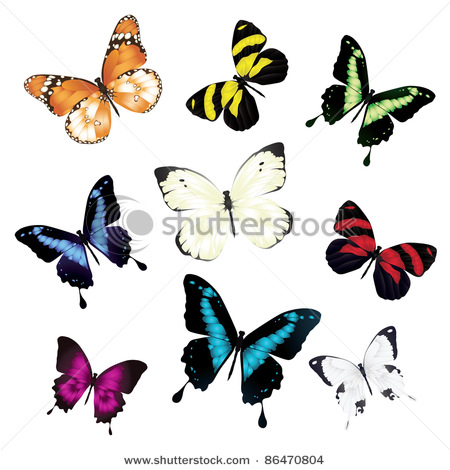 stock-vector-various-vector-butterflies-on-white-background-86470804 (450x470, 66Kb)