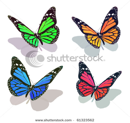 stock-vector-vector-butterfly-collection-61323562 (450x427, 68Kb)