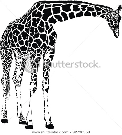 stock-vector-giraffe-isolated-vector-with-spots-92730358 (425x470, 60Kb)