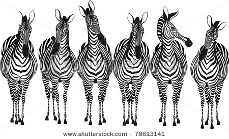 stock-vector-zebras-78613141 (450x273, 55Kb)