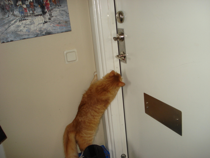 DSC03300 (700x525, 144Kb)