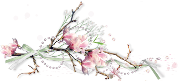 0_45f88_ffed0d6d_L (360x163, 69Kb)