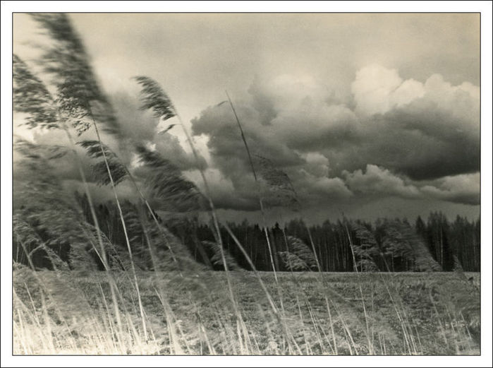 wind (700x521, 61Kb)