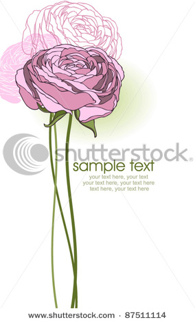 stock-vector-card-with-stylized-ranunculus-flowers-87511114 (284x470, 39Kb)