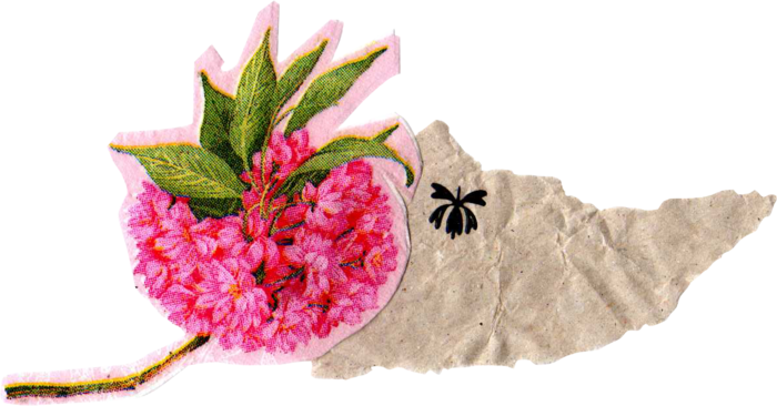 Materials_pink_flowers_04 (700x366, 287Kb)