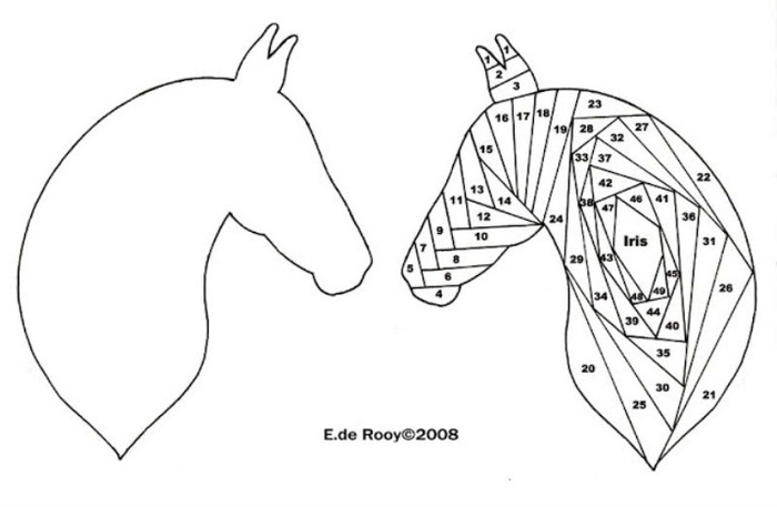 paardenhoofd (700x457, 49Kb)