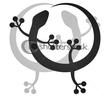 stock-vector-abstract-fantasy-butterfly-tattoo-vector-27931339 (450x399, 57Kb)