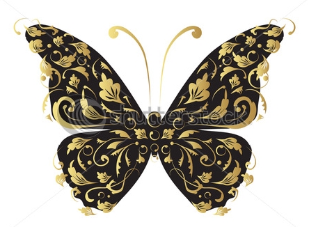 stock-vector-butterfly-ornate-for-your-design-23321611 (444x326, 110Kb)