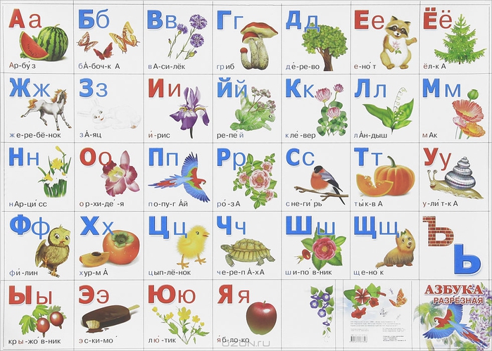Фрукты и овощи алфавит - буква Ф - вектор EPS 10 иллюстрации