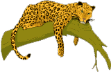 227eb64475e13f1d9d6ef6f020d3f42a (160x104, 14Kb)
