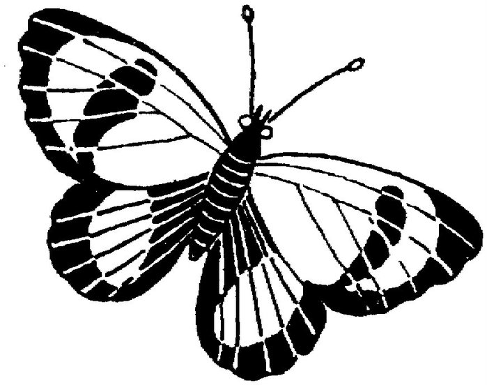 butterfly-2-coloring-page (700x552, 65Kb)