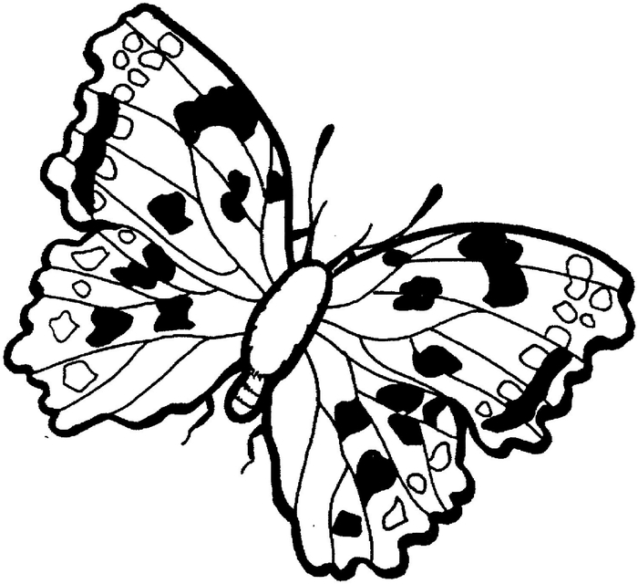 butterfly-10-coloring-page (700x640, 157Kb)