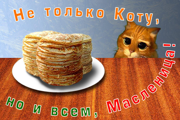 Кот с блинами на Масленицу