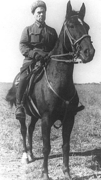 Лошади на войне 1941 1945 картинки с описанием