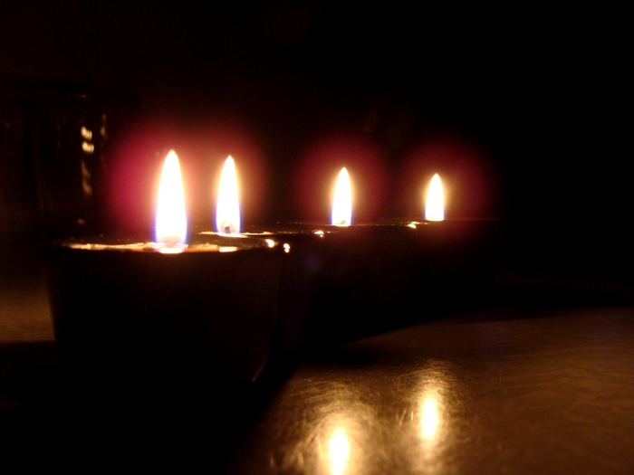 DSC02757 (700x525, 143Kb)