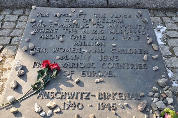 memorial Birkenau 3 (700x465, 138Kb)