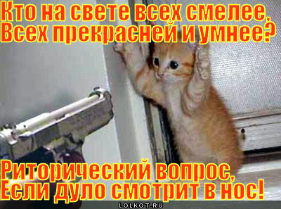 ritoricheskiy-vopros_1301676873 (400x297, 47Kb)