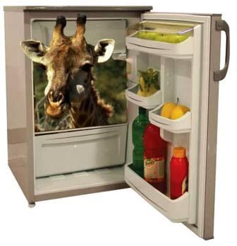 1319783129_giraffe_in_refrigerator (336x348, 16Kb)