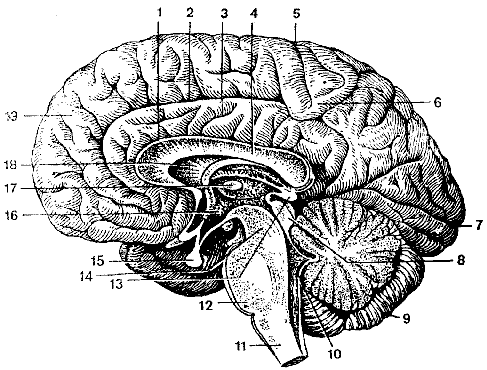 52 (487x370, 23Kb)