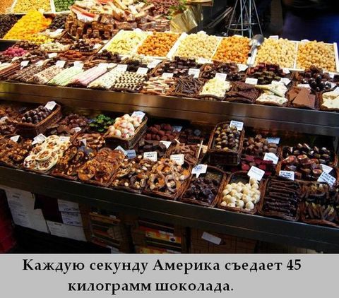 26 (480x422, 60Kb)