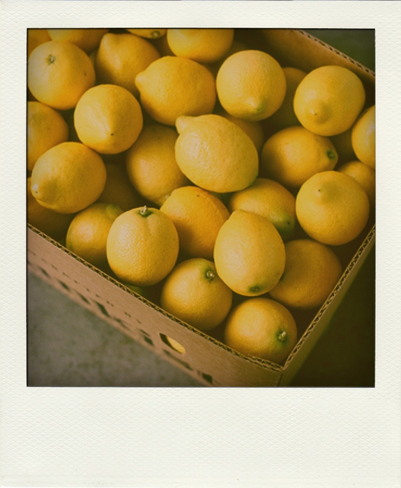 4518416_tumblr_m04jhde0D31qh82ejo1_500pola (575x700, 247Kb)