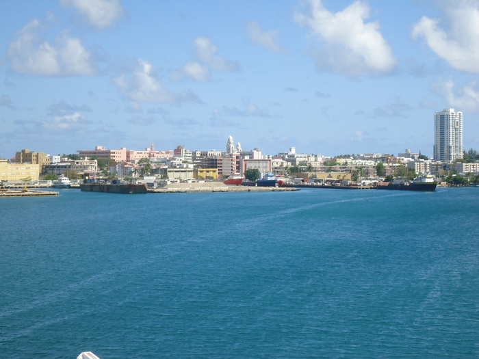DSC04286 (700x525, 163Kb)