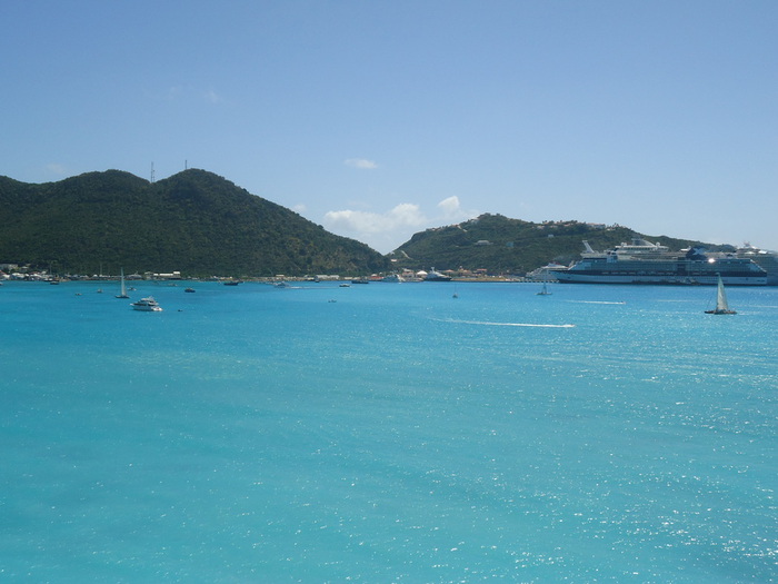 DSC04371 (700x525, 97Kb)