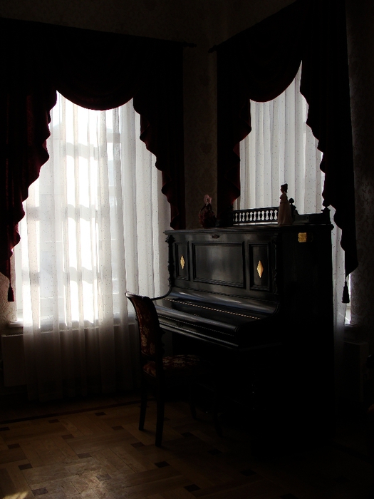 DSC02790 (525x700, 190Kb)