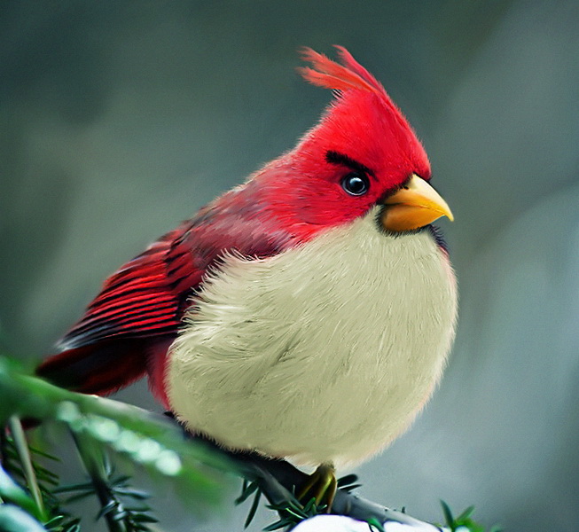 angrybirds01 (653x600, 138Kb)