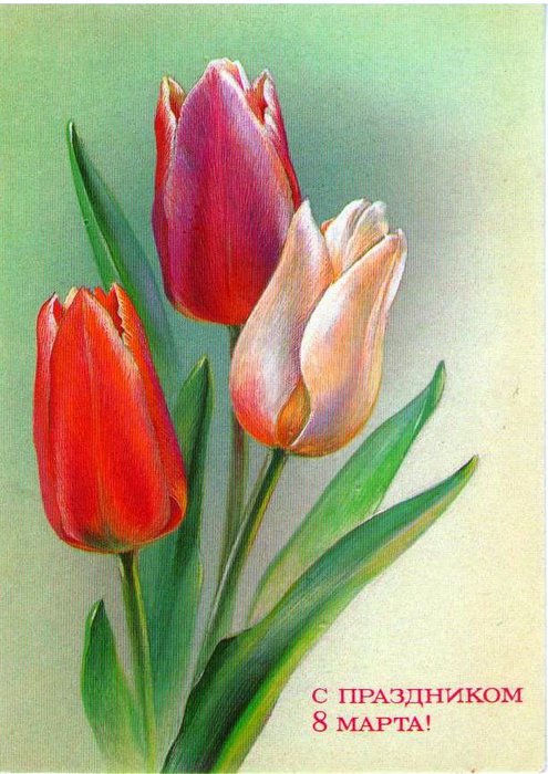 8- 1 (495x700, 86Kb)