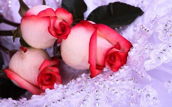 Holidays_International_Womens_Day_Beautiful_flowers_to_women_020272_ (700x437, 108Kb)