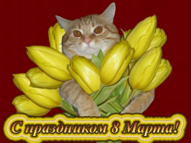 otkritki8marta-94 (640x480, 51Kb)